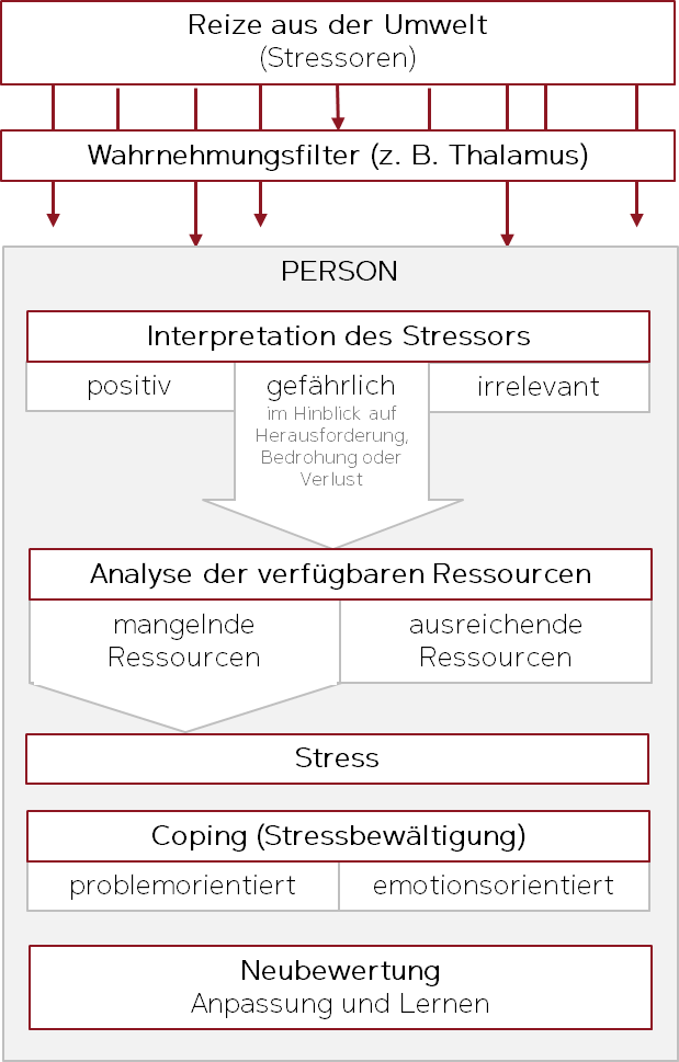 Lazarus Stress Stress And Coping Richard Lazarus Model Of Stress